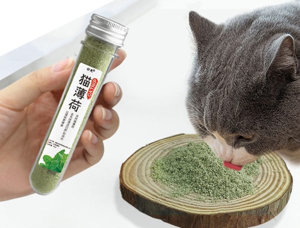 Cỏ mèo catnip 50g