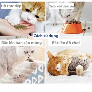 Cách sử dụng cỏ mèo catnip