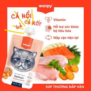 Súp thưởng cao cấp Wanpy nắp vặn rau củ cá hồi, cà rốt cho mèo