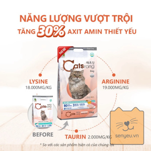 Hạt mèo Catsrang năng lượng vượt trội