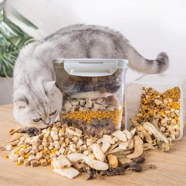 Mèo và hộp thịt sấy Lishi