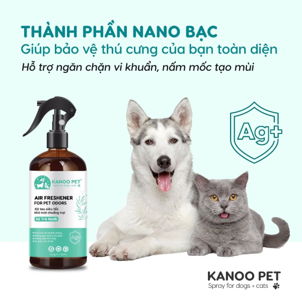 Thành phần nano bạc khử mùi nước tiểu