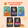 Hạt chó Ganador Đà Nẵng