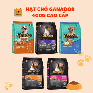 Hạt chó Ganador Đà Nẵng