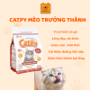 Hạt mèo Catpy cho mèo cưng