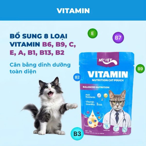 Pate mèo Mr.Vet bổ sung Vitamin