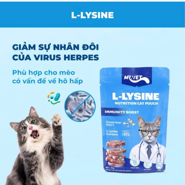 Pate mèo Mr.Vet giảm sự nhân đôi của Virus Herpes