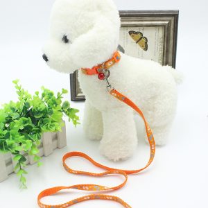 Dây Dắt Vòng Cổ Zichen