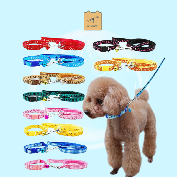 Dây dắt vòng cổ Zichen