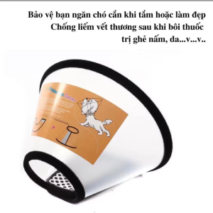 cong dung vong chong liem