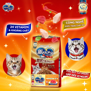 hat meo silver spoon cong nghe san xuat