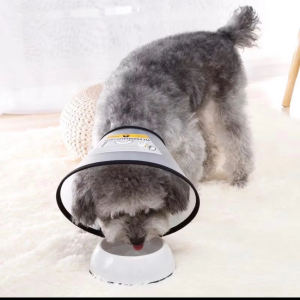 su dung vong co chong liem