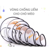 vong chong liem cho meo