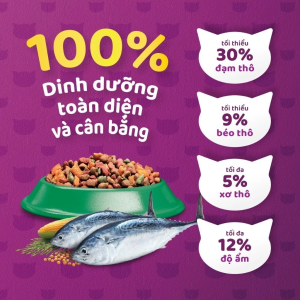 hat meo whiskas dinh duong toan dien