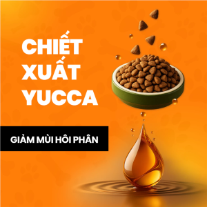 hat meo on25 chiet xuat yucca