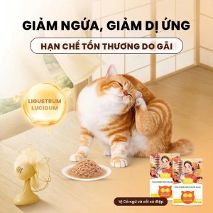 pate meo on25 giam ngua va di ung