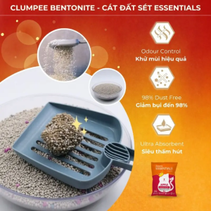 cat dat set aatas essentials
